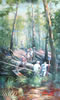 Ivy Ridge Studio: Crossing Robinson Branch 24 x 40 in Oil