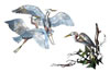 Ivy Ridge Studio: Great Blue Herons
