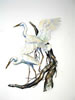 Ivy Ridge Studio: White Egrets